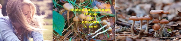 амф Алексин