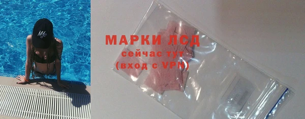 шишки Абаза