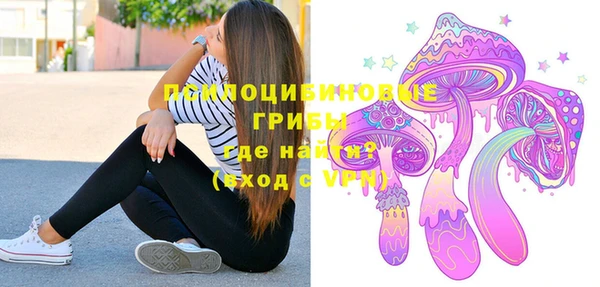 гашик Алзамай