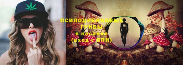 гашик Алзамай