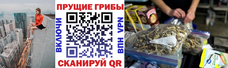 Галлюциногенные грибы MAGIC MUSHROOMS Дубовка